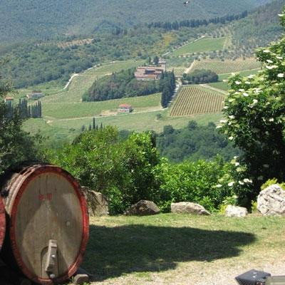 Fattoria Monte主图