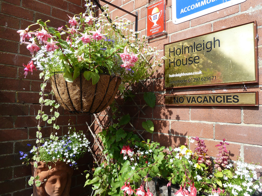 Axmouth酒店住宿-Holmleigh House