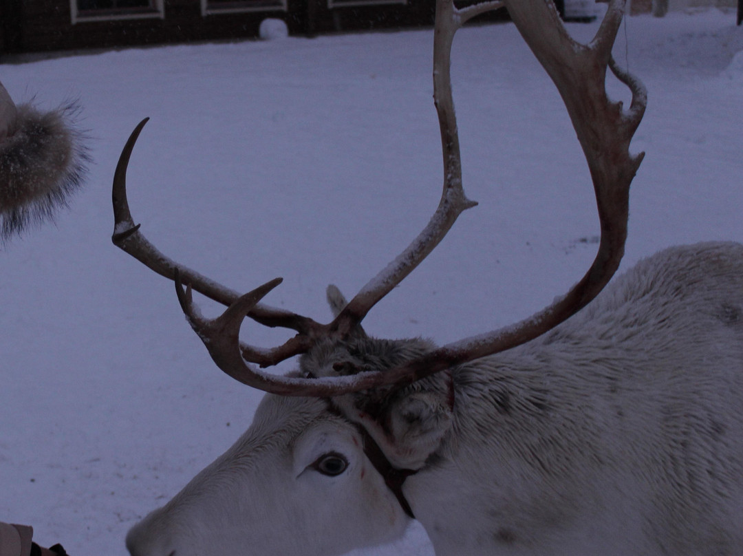 Arctic Circle Hotel主图