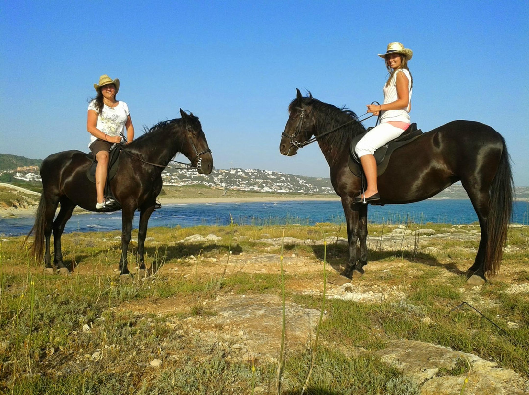 Rutas Equestres Menorca-休达德亚必去景点
