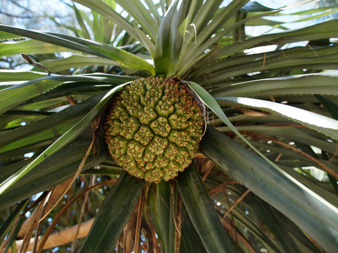 邦涛海滩-普吉岛必去景点