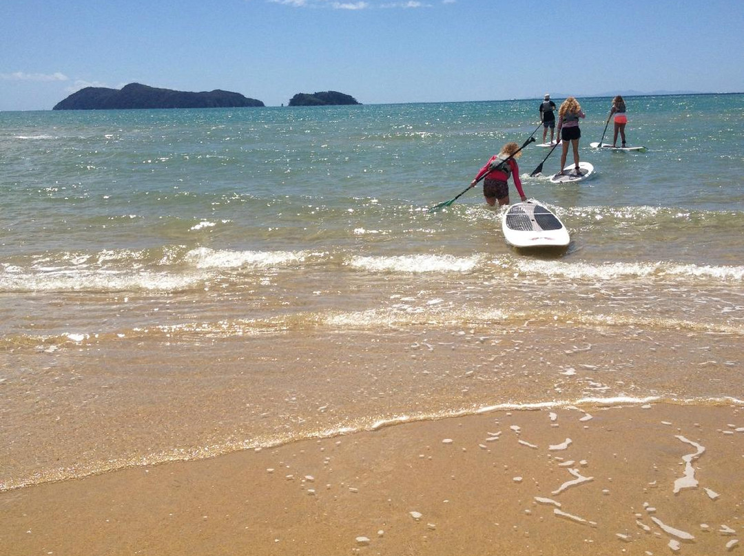 Abel Tasman Paddleboarding-凯特里特里必去景点