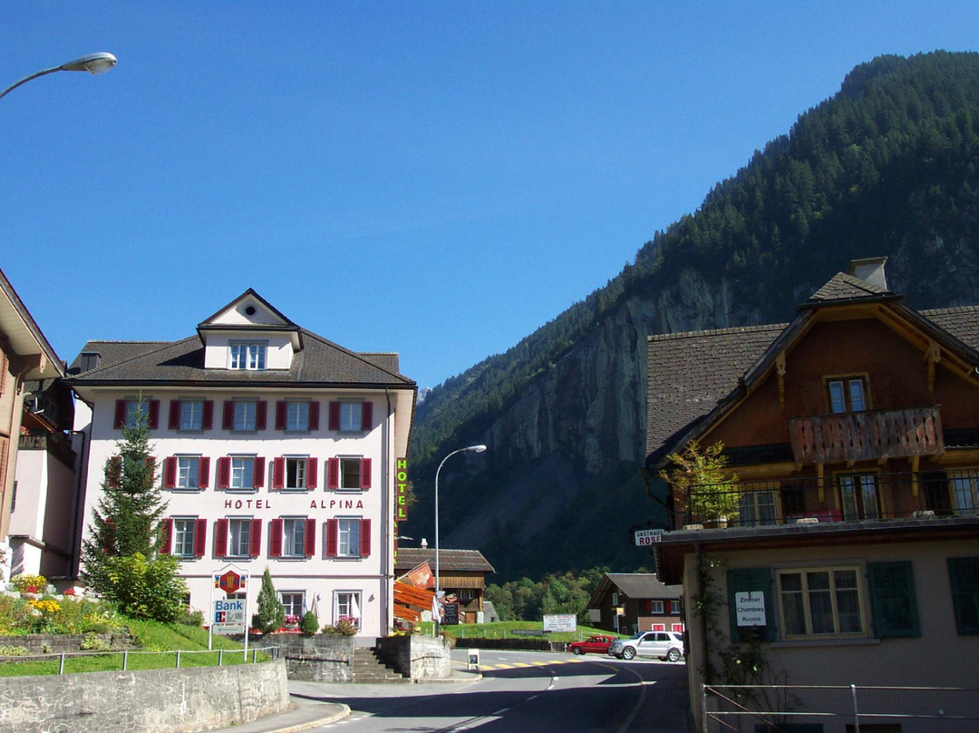 Hotel Alpina