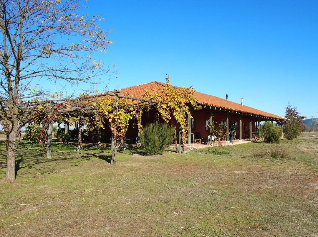 Erasmo-San Javier必去景点