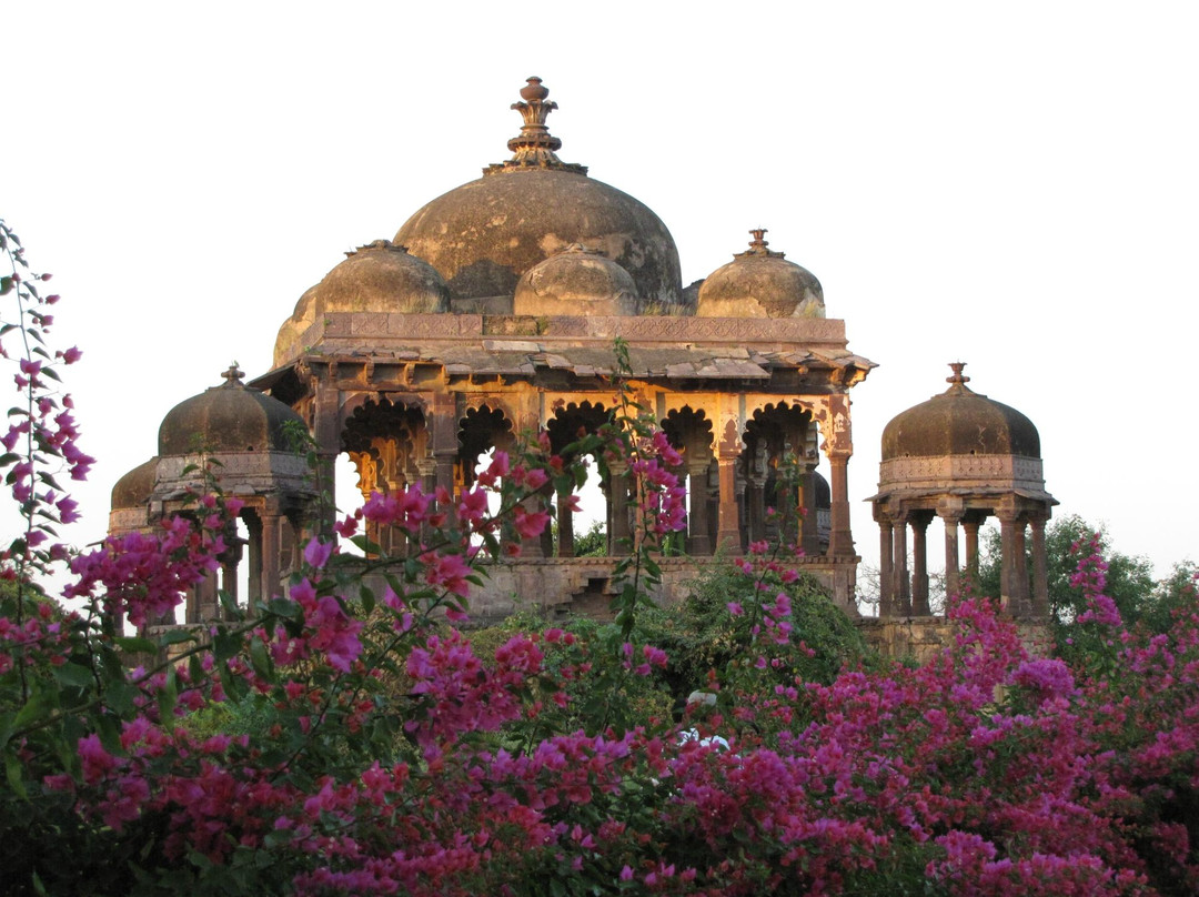 Ranwal旅游景点-Ranthambore Fort