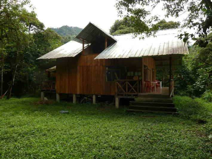 Las Tangaras Reserve (Reserva las Tangaras)景点图片