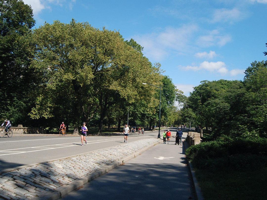 中央公园-纽约市必去景点