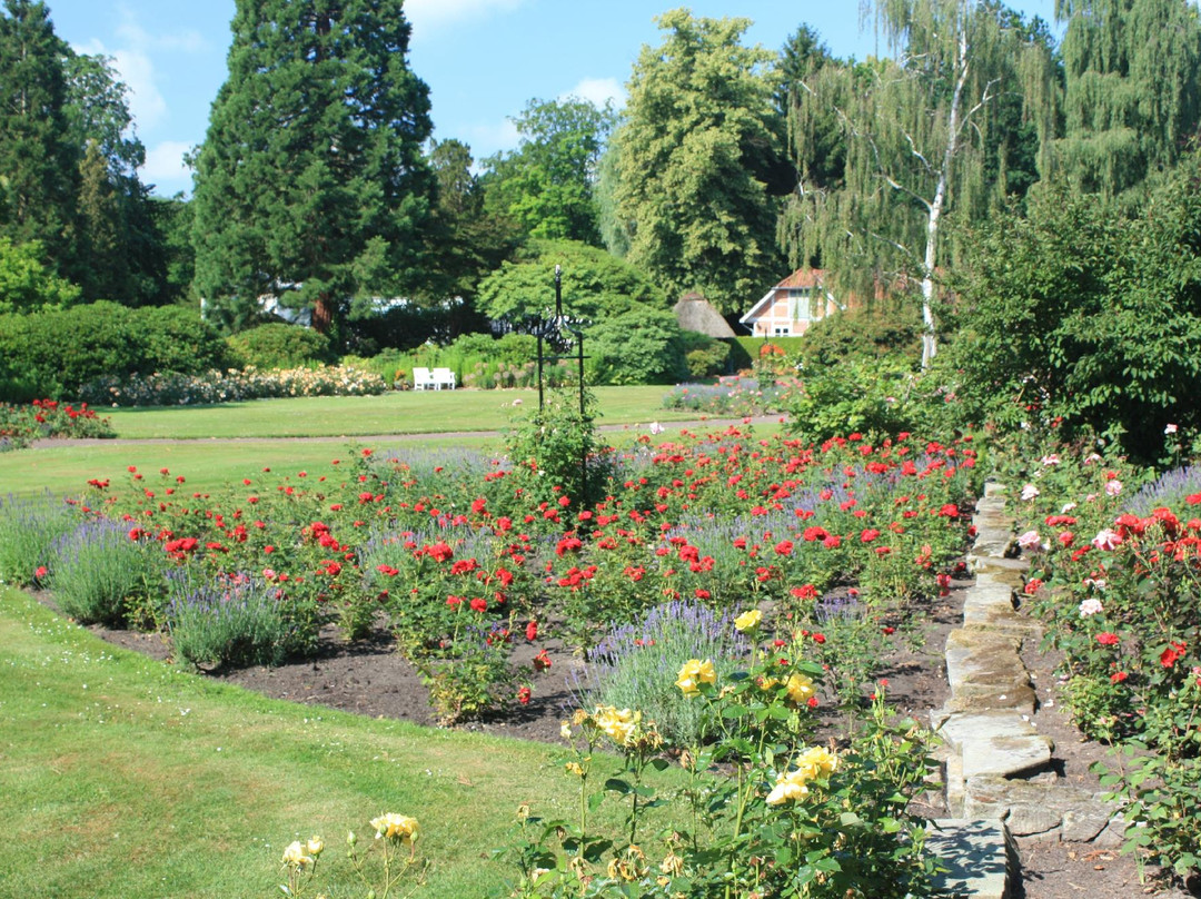 Oldenburger Schlossgarten景点图片