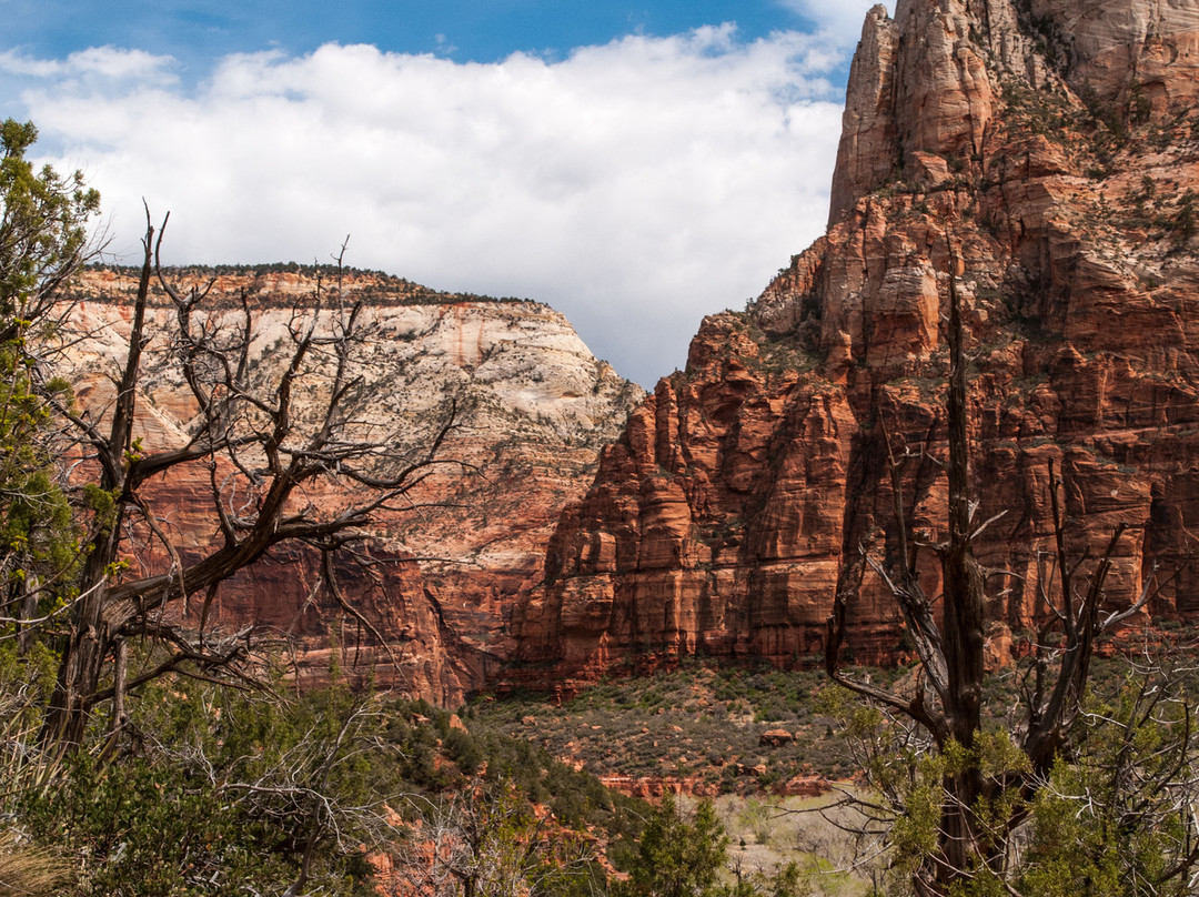 Kayenta Trail-锡安国家公园必去景点