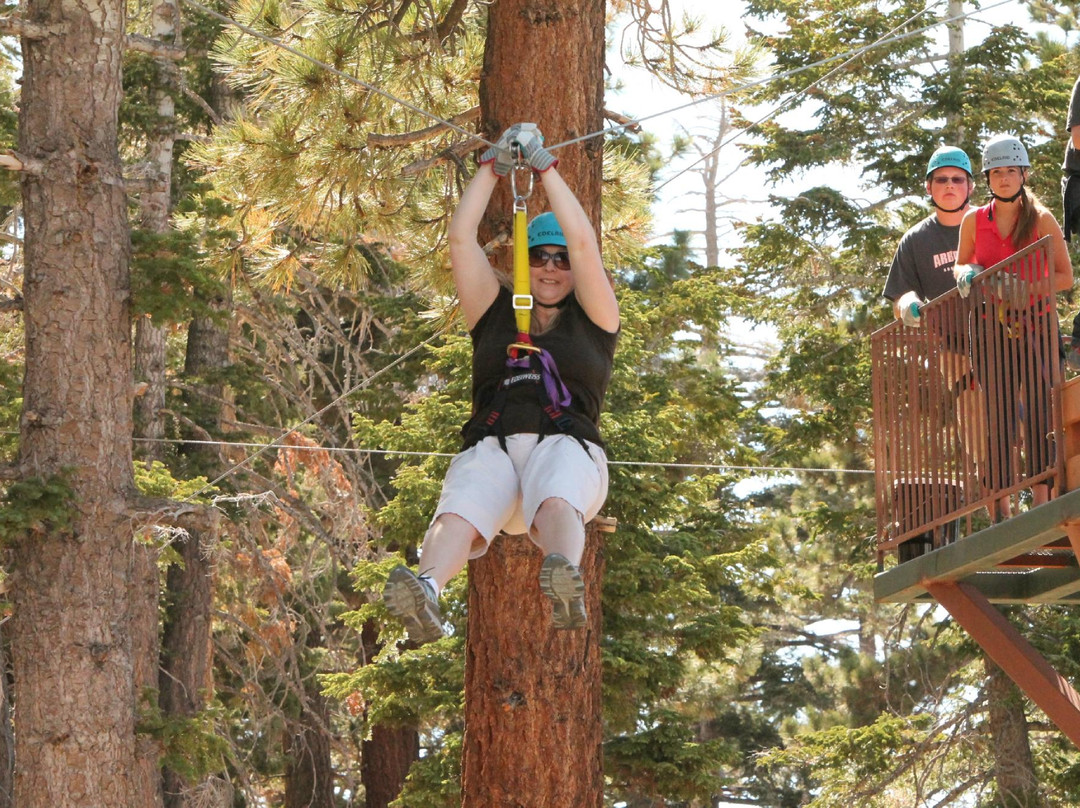 Action Zipline Tours-大熊湖必去景点