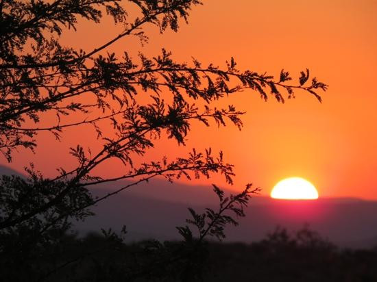 Heritage Tours & Safaris-圣露西亚必去景点