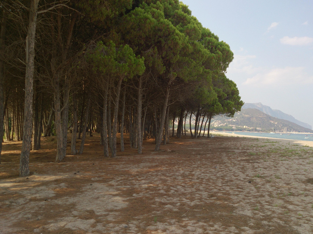 Camping Solemar