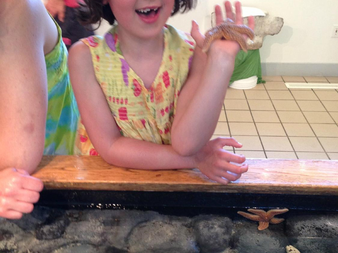 George B. Dorr Museum of Natural History-巴港必去景点