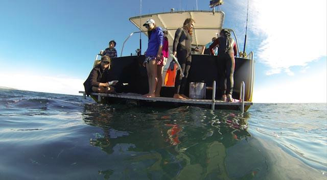 Ningaloo Experience-珊瑚湾必去景点