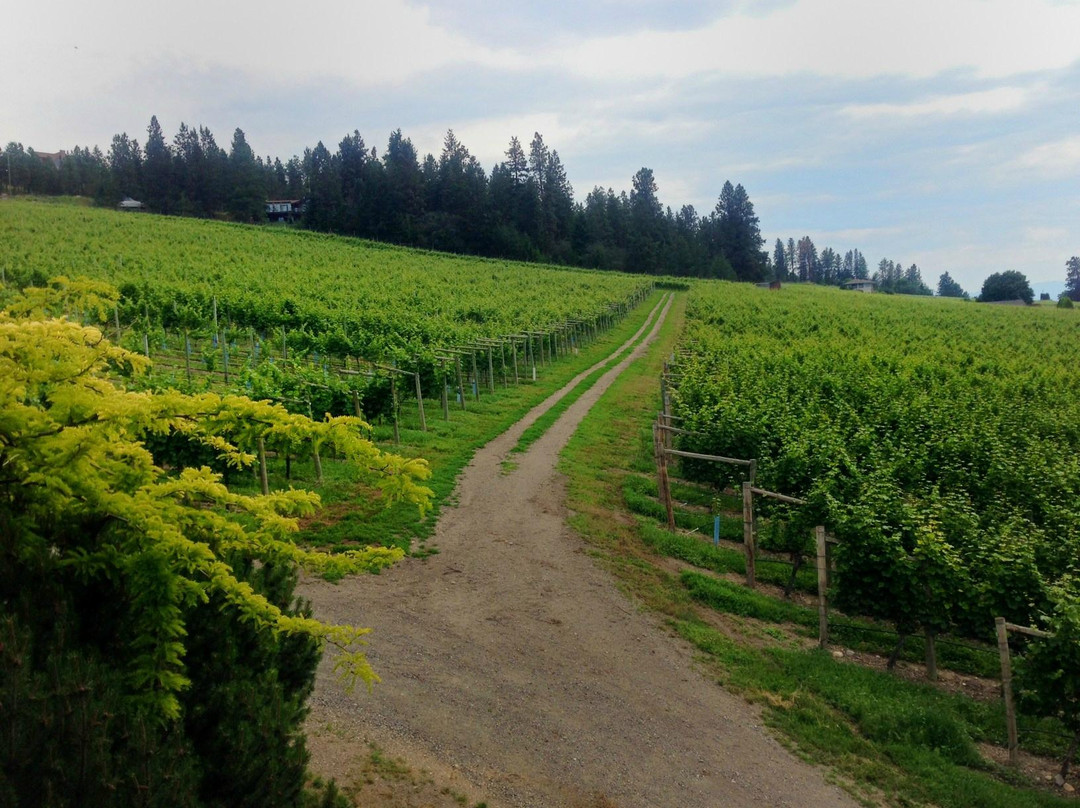 Gray Monk Estate Winery-Lake Country必去景点