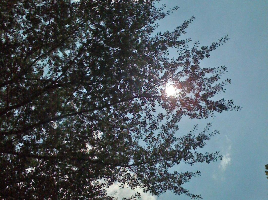 Wildwood Park-雷德福必去景点