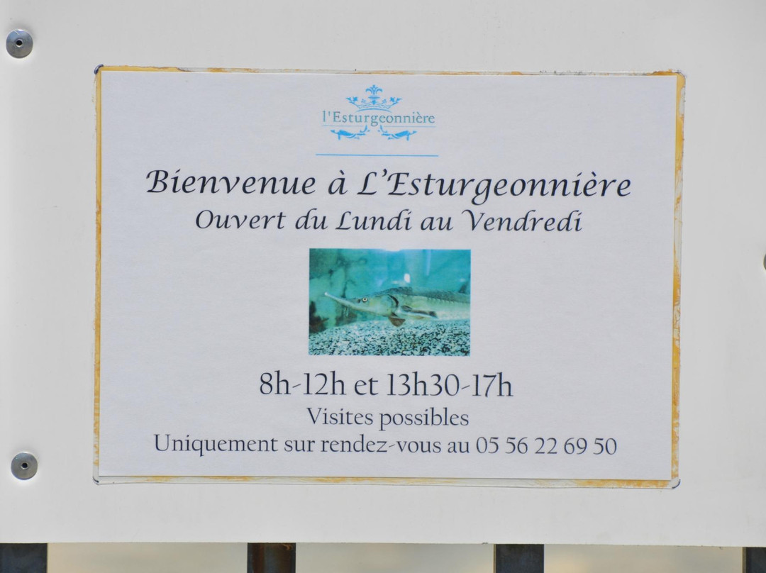 L'Esturgeonniere景点图片