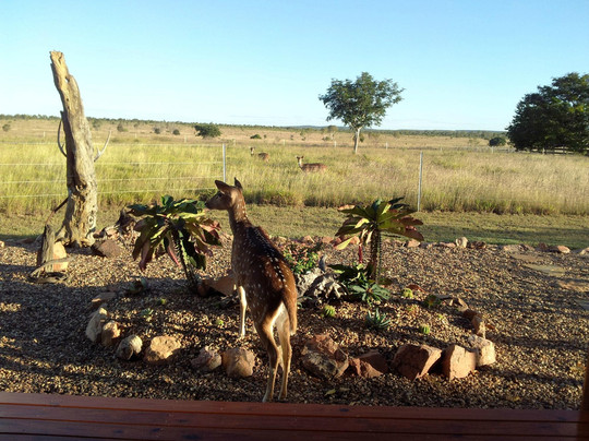 Ravenswood旅游景点-Leahton Park