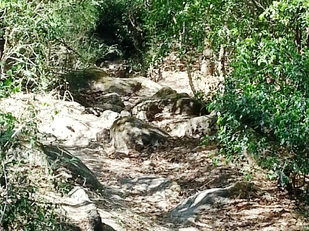 Balungao Hilltop Adventure景点图片
