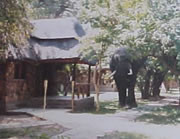 Bongwe Lower Zambezi Camp