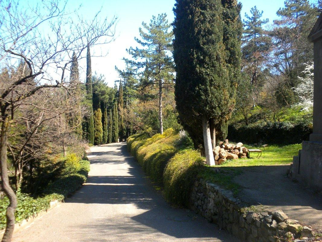 National Botanical Garden of Georgia-第比利斯必去景点