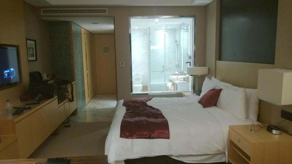 上海漕河泾万丽酒店-客卧