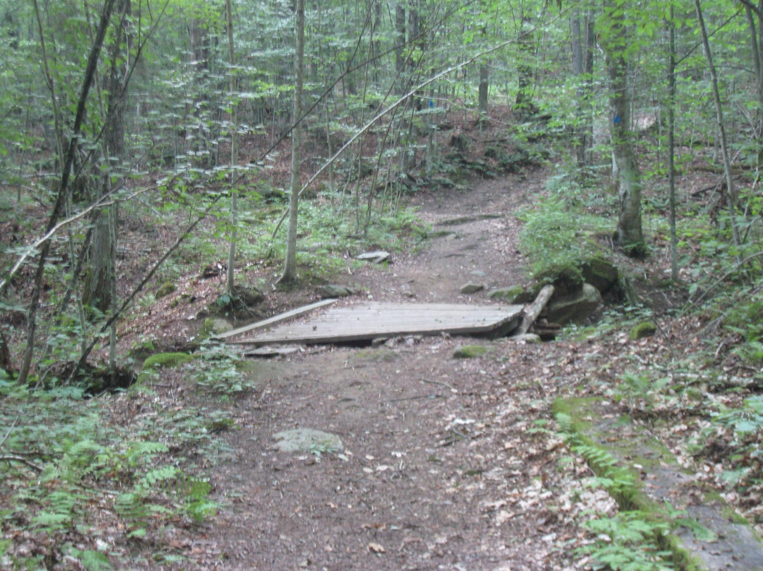 Healdville Trail-Ludlow必去景点