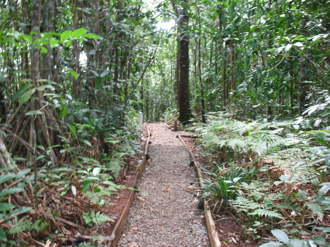 Colo-I-Suva Forest Park-苏瓦必去景点