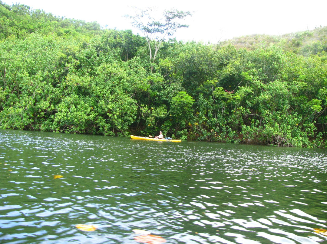 Duke's Kayak Adventures-Wailua必去景点
