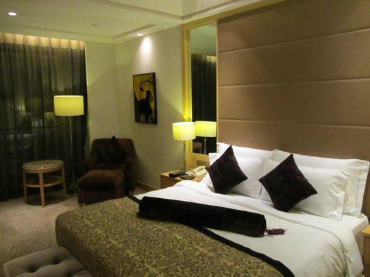 华侨温德姆至尊豪廷大酒店主图