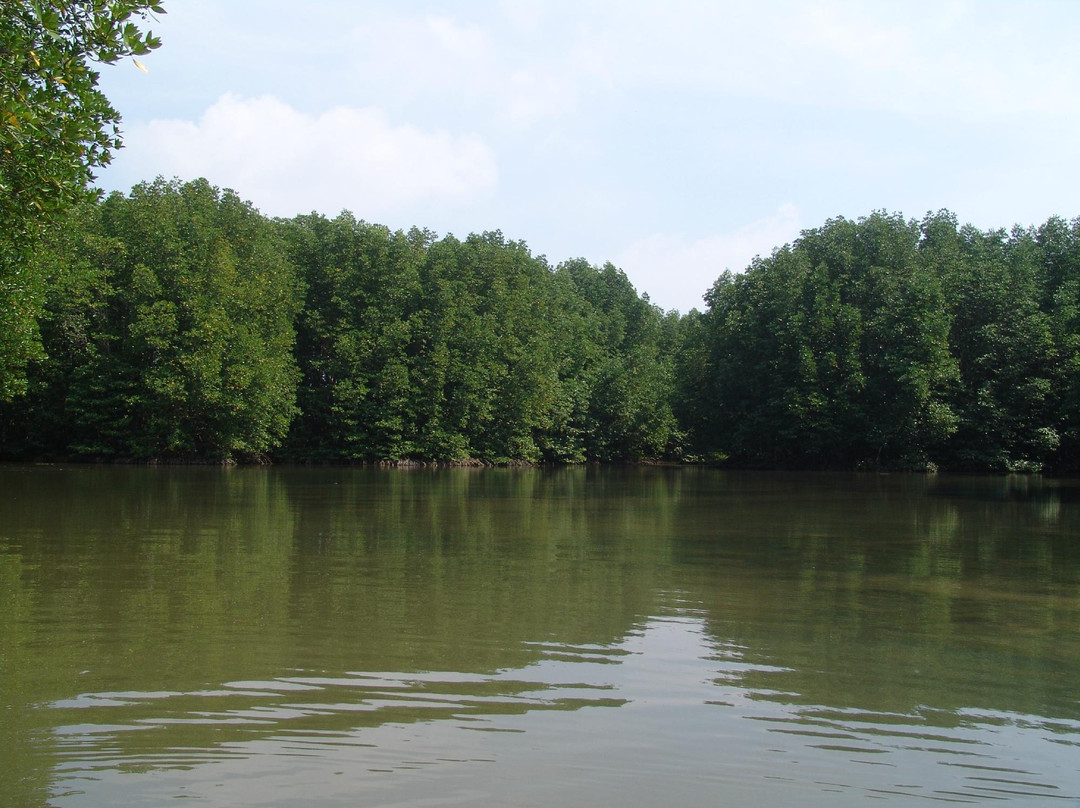 Vam Sat Salt-Marsh Forest Ecological Tourist Center-胡志明市必去景点