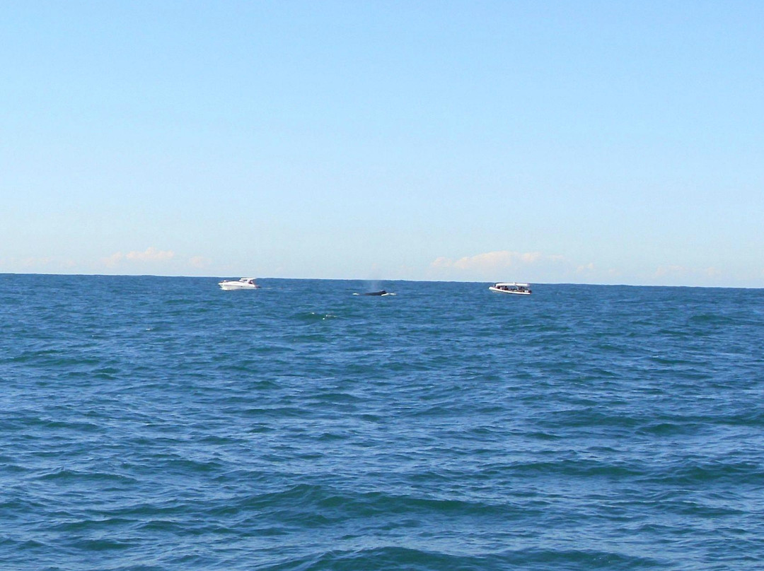 James Craig Tall Ship-悉尼必去景点