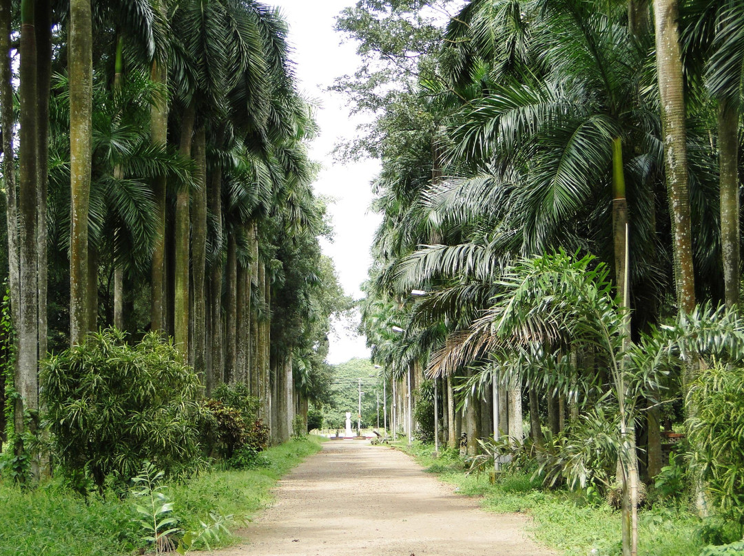 Acharya Jagadish Chandra Bose Indian Botanic Garden-Howrah必去景点
