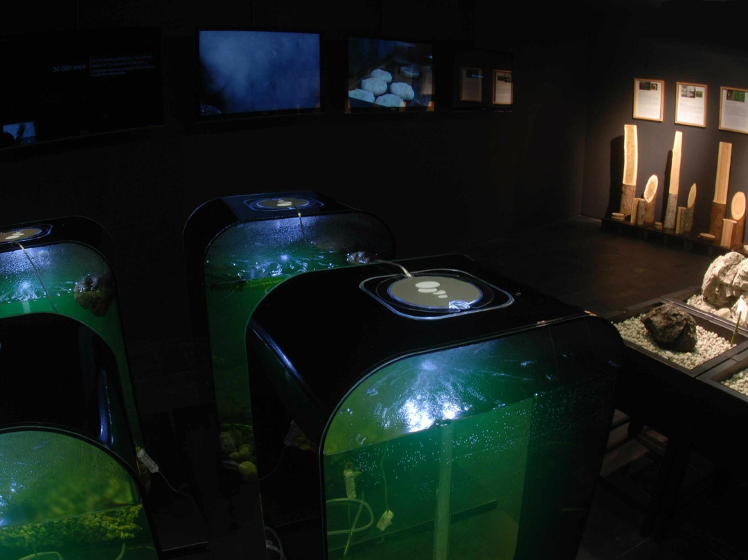 Centro de Interpretação Ambiental das Furnas-富尔纳斯必去景点