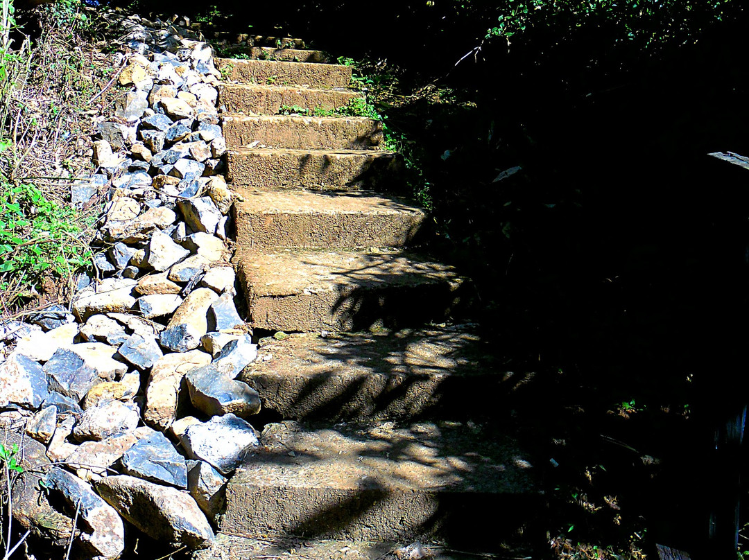 Kitale Museum-Kitale必去景点