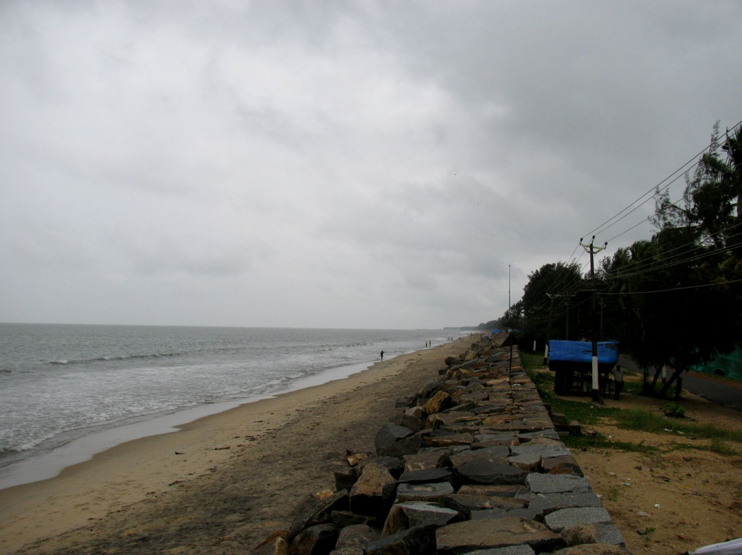 Cherai Beach景点图片