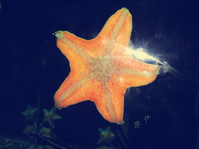 蓬莱海洋极地世界-蓬莱市必去景点