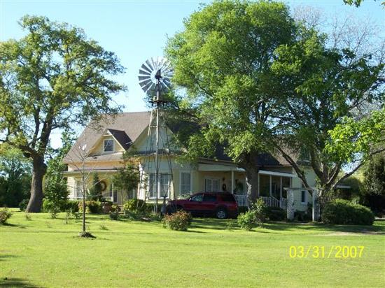 Windmill Bed and Breakfast-餐饮