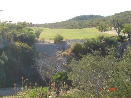 Desert Course at Cabo del Sol-洛斯卡布斯必去景点