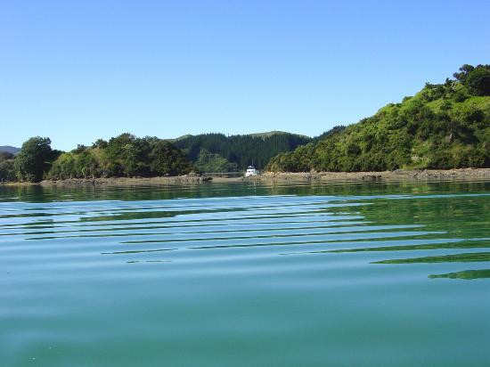 Whangaroa Harbour-Whangaroa必去景点