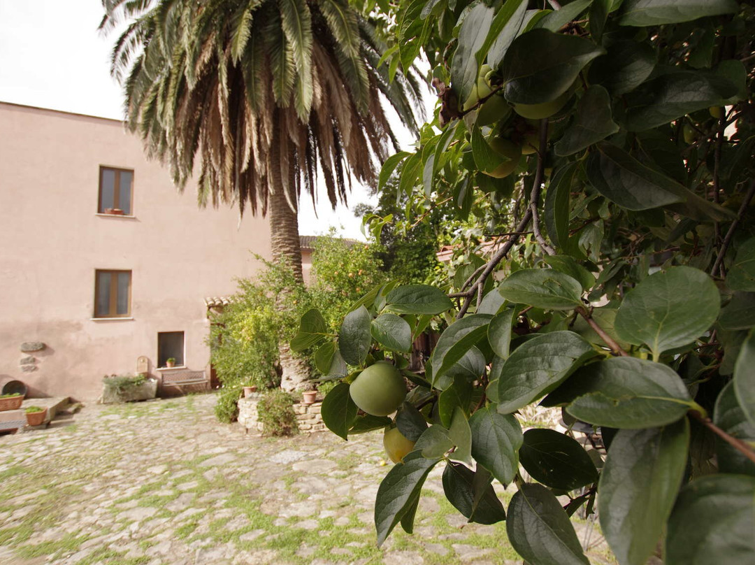 B&b Il Cachi & La Palma
