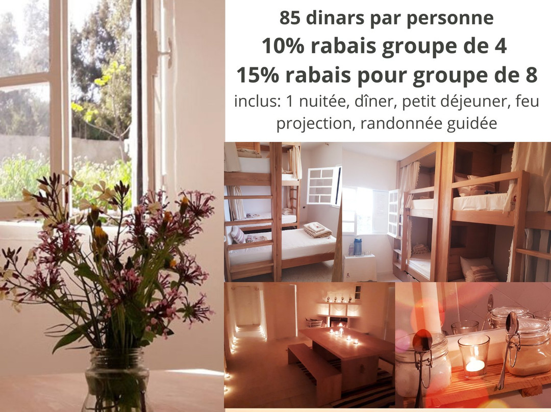 Plan L Concept Tunisie