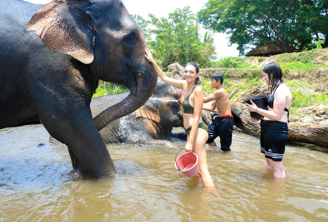 Inthanon Elephant Sanctuary & Wildlife Preserve-清迈必去景点