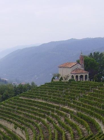 Agroturismo San Bovo di Chiriotti Aldo-客卧