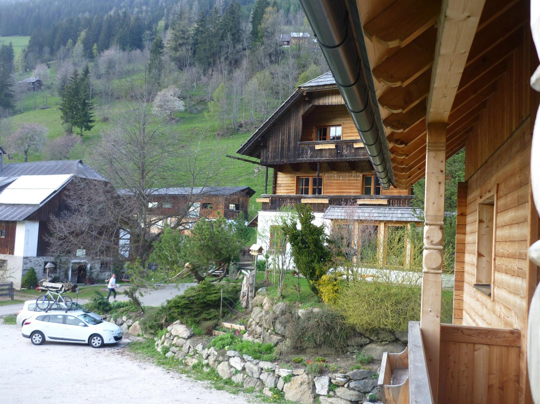 Patergassen酒店住宿-Biohof Seidl