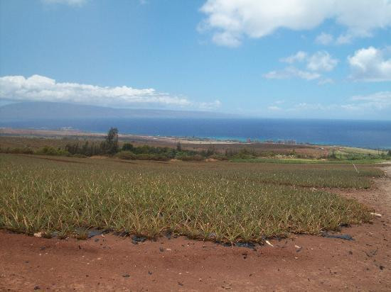 Ironwood Ranch-Napili-Honokowai必去景点