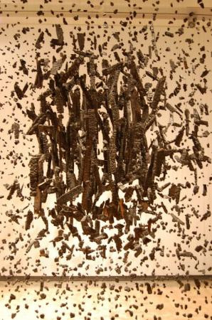 凤凰城艺术博物馆-凤凰城必去景点