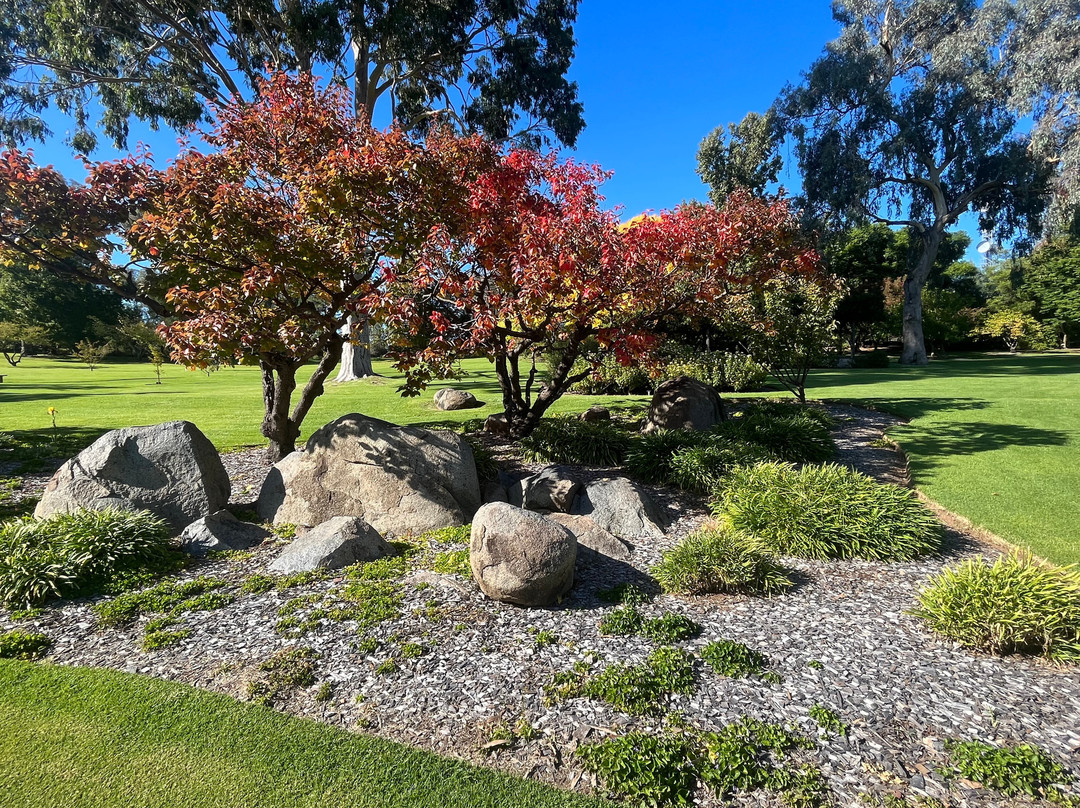 Club Cowra Motel主图