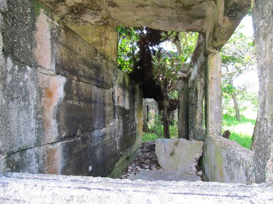 Folly Great House景点图片