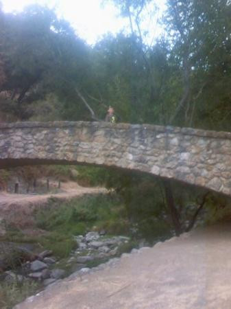 Alum Rock Park-圣何塞必去景点